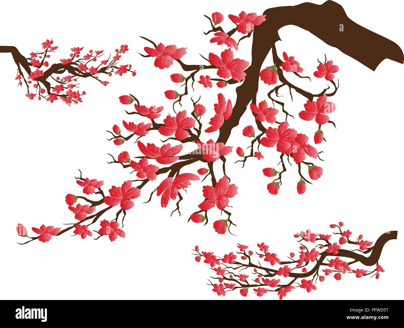 Chinese New Year Sakura Flowers Background Cherry Blossom Isolated White Background Stock Vector Image Art Alamy