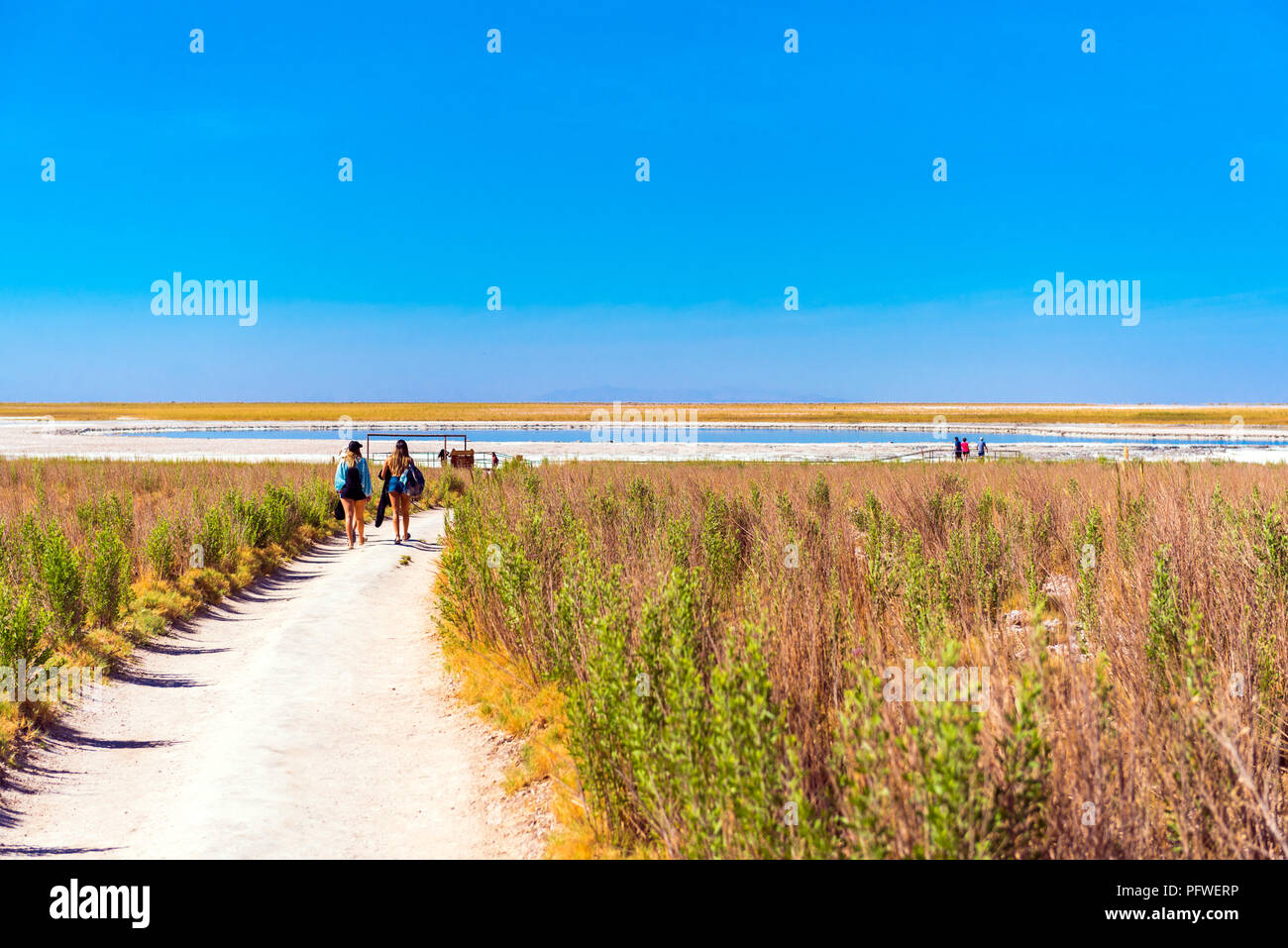 Landscape in Atacama desert, Salt Lake, Chile. Copy space for text Stock Photo