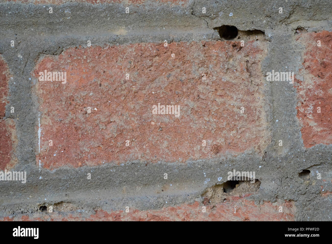 holes in cement surrounding bricks caused by mortar bees osmia bicornis at a rural house in zala county hungary Stock Photo
