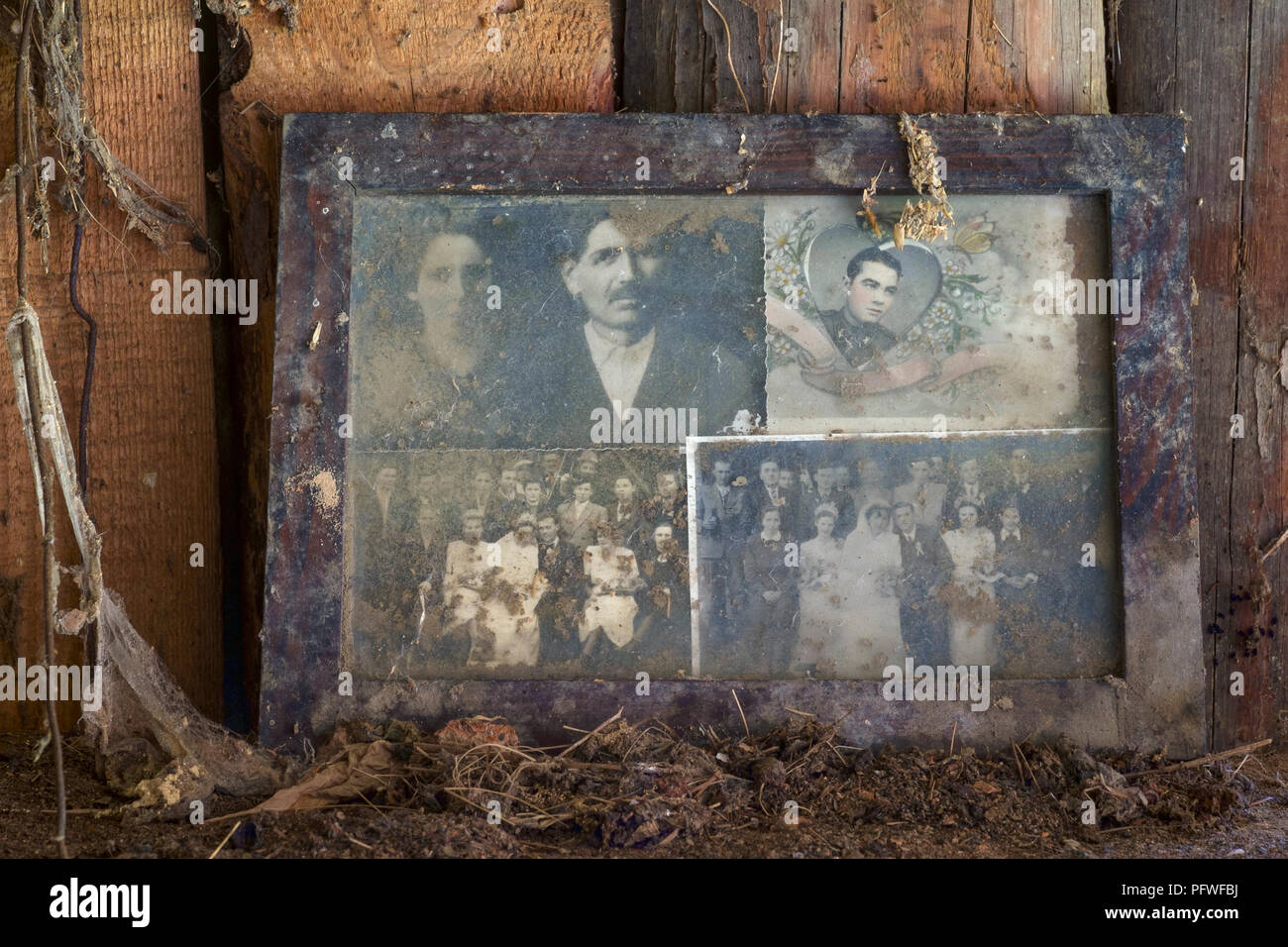 dirty dusty wooden frame containing four wedding photographs from the 1930s hungary Stock Photo
