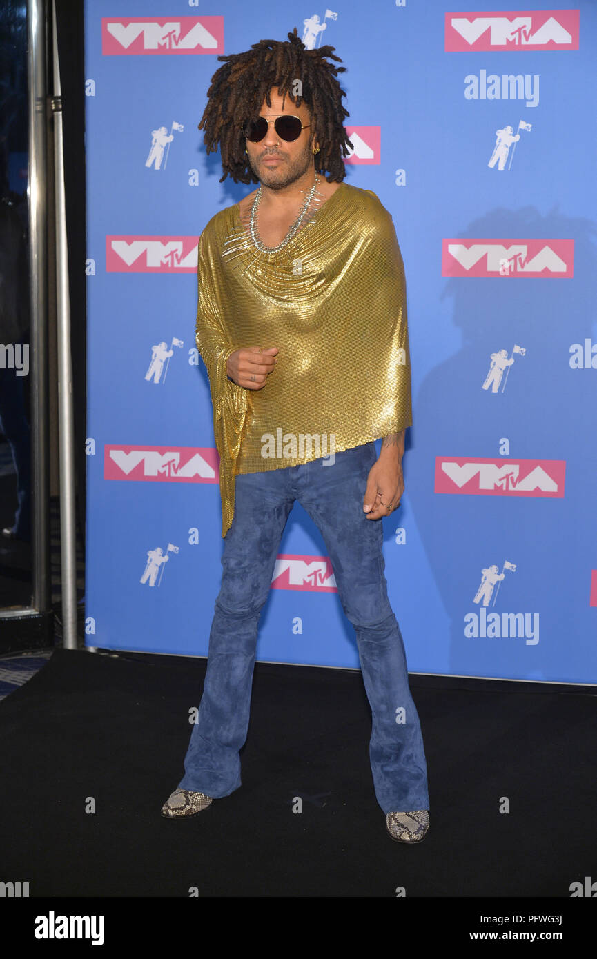 Lenny Kravitz attends the 2018 MTV Video Music Awards at Radio City Music Hall on August 20, 2018 in New York City. Stock Photo