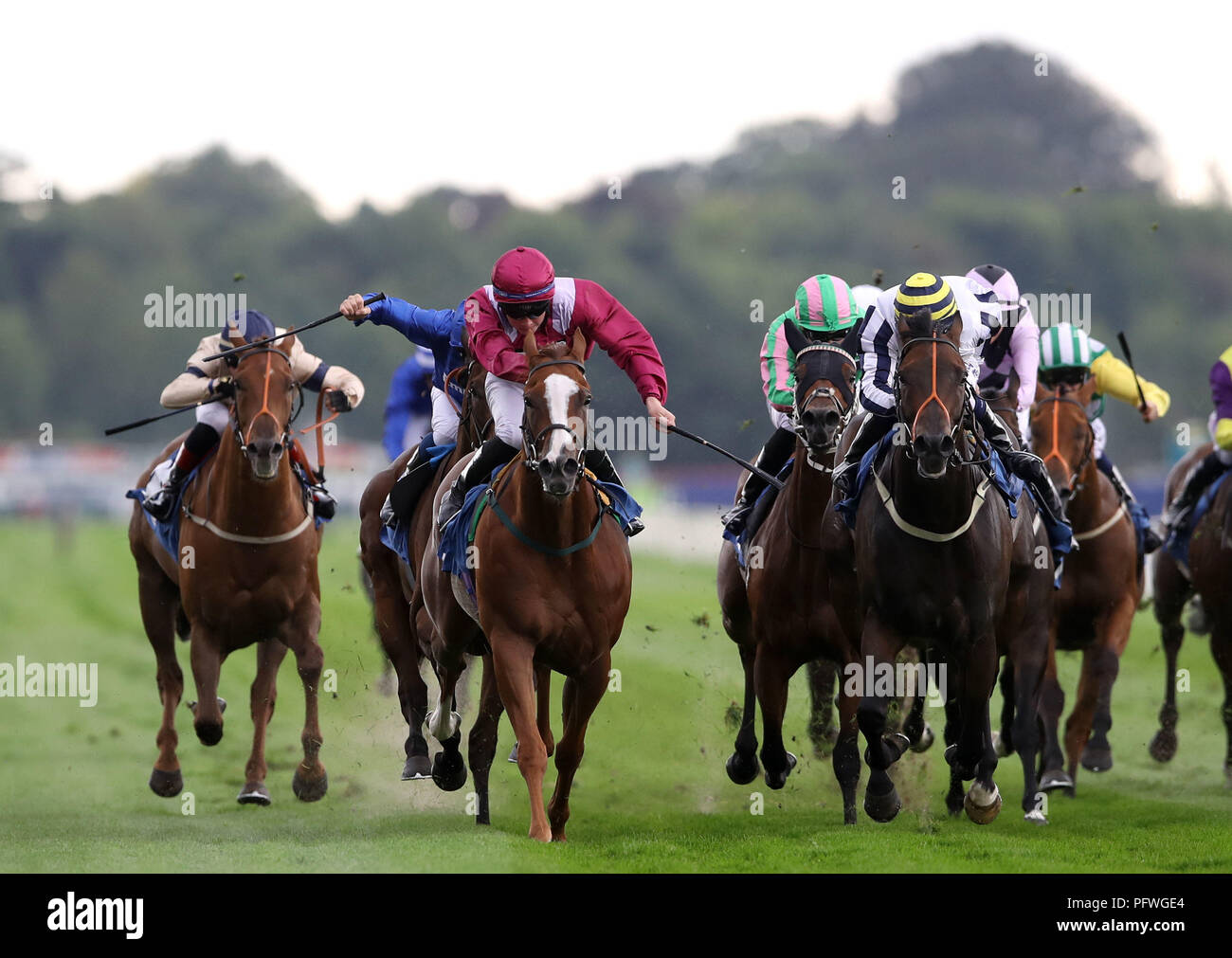 Tis Marvellous ridden by Adam Kirby (centre) wins the Sky Bet And Symphony Group Handicap during Juddmonte International Day of the Yorkshire Ebor Festival at York Racecourse. PRESS ASSOCIATION Photo. Picture date: Wednesday August 22, 2018. See PA story RACING York. Photo credit should read: Tim Goode/PA Wire Stock Photo
