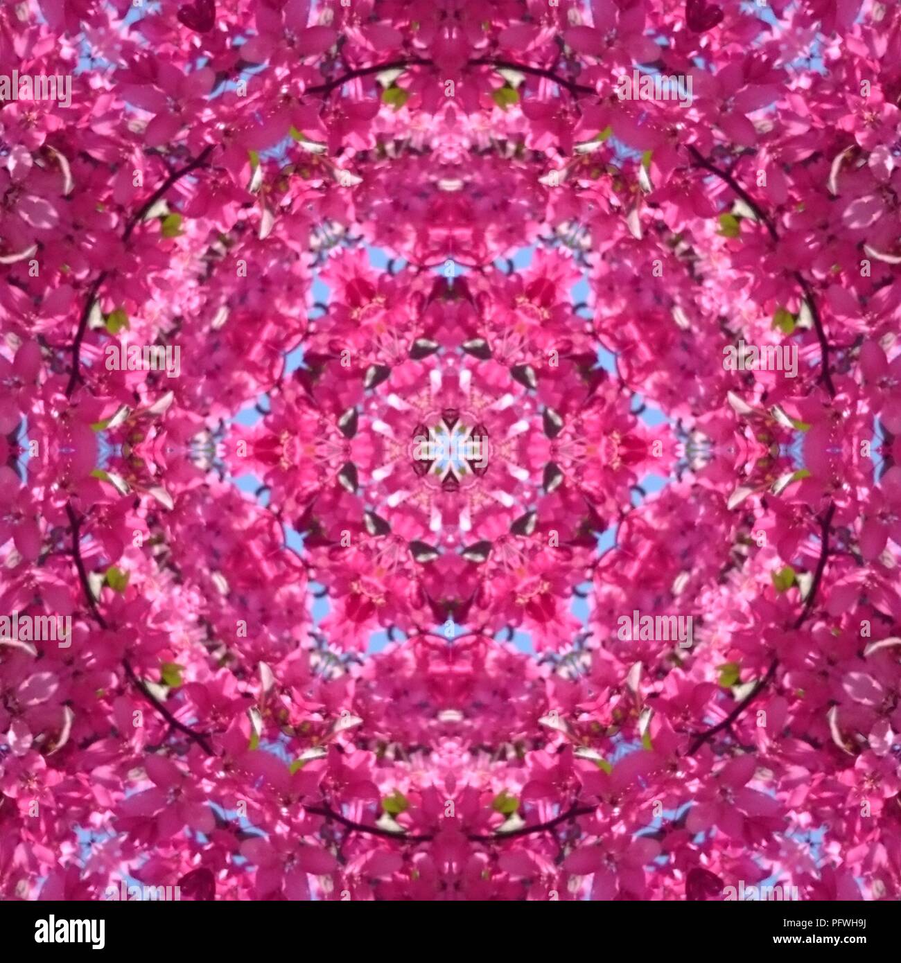 picture of kaleidoscope picture of kaleidoscope