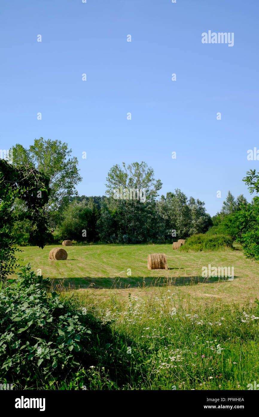 hay bales in a field amongst the picturesque rolling countryside of zala county hungary Stock Photo