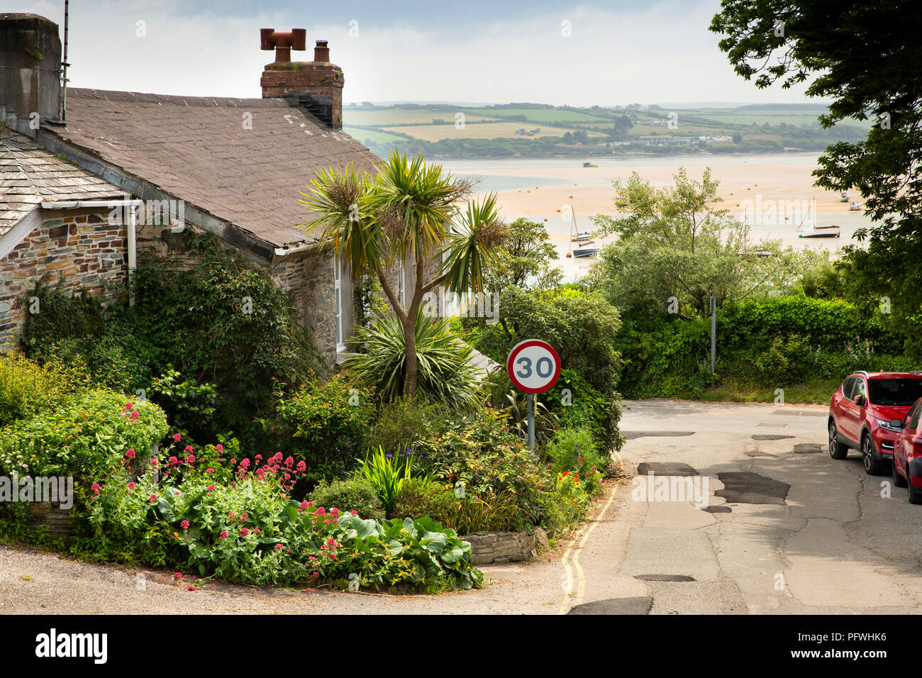UK, Cornwall, Rock, sub-tropical garden of waterfront house Stock Photo