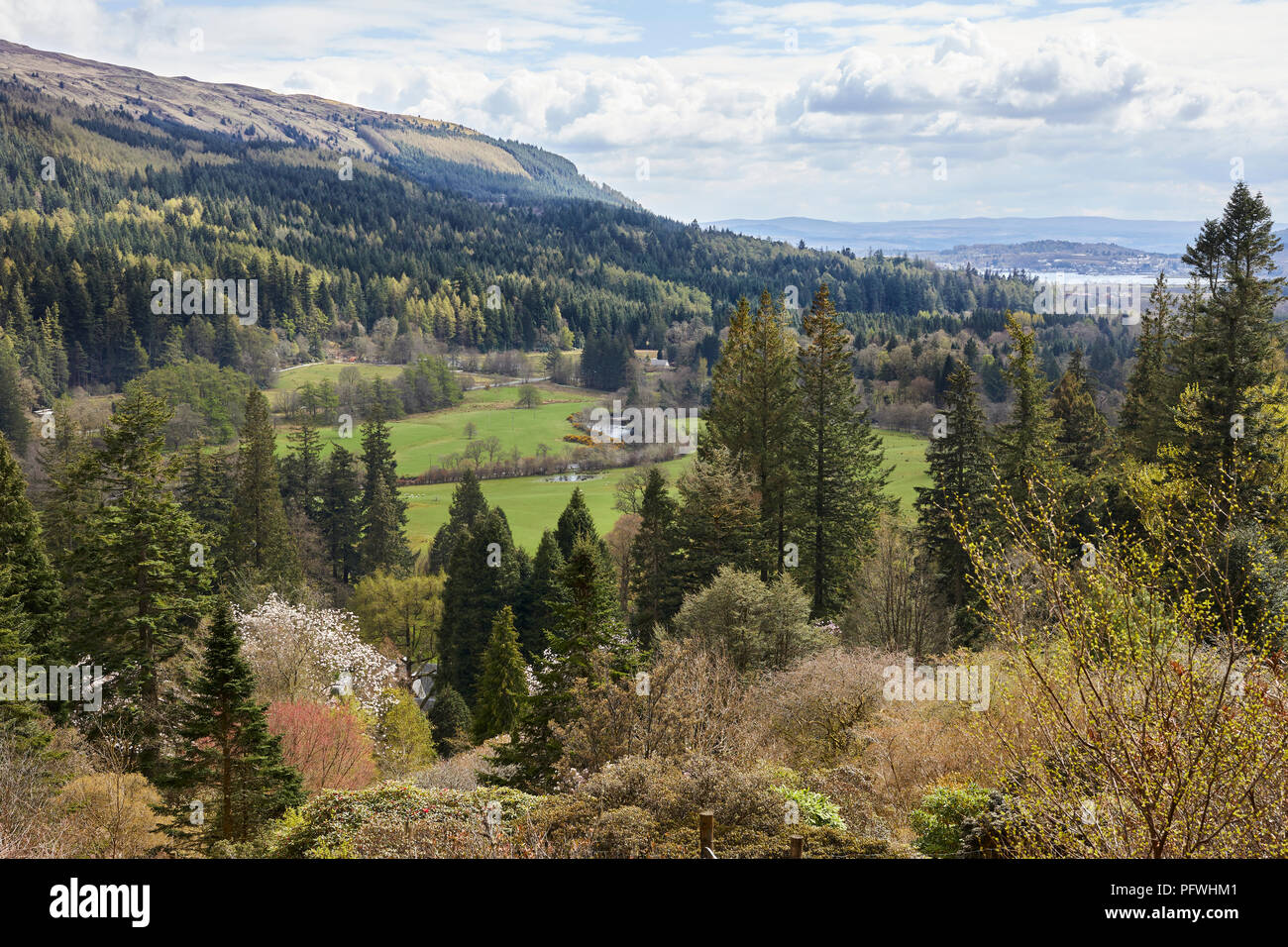 View to the Firth of Clyde and Dunoon from the Benmore Botanical Gardens. Dunoon Stock Photo