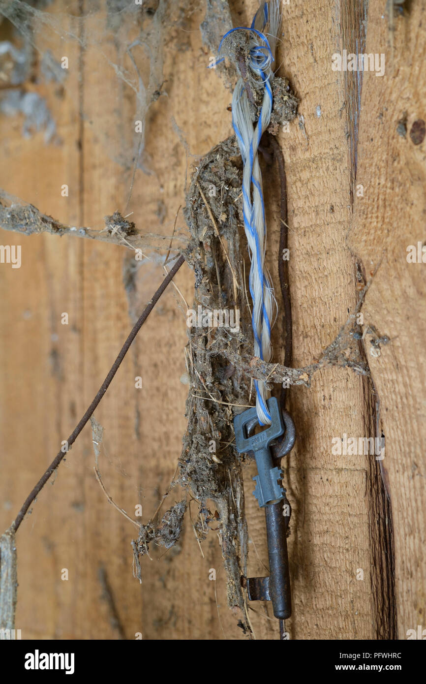 old keys hanging by twine in an old dirty dusty shed Stock Photo