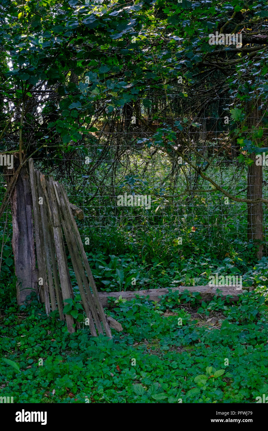 old and broken wooden gate in an overgrown garden leading to woods zala county hungary Stock Photo