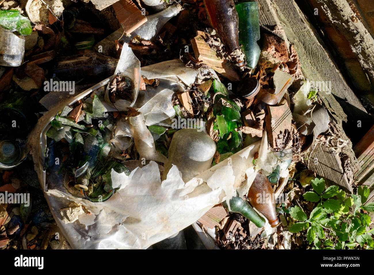 discarded broken glass bottles in a split plastic bag dumped in undergrowth zala county hungary Stock Photo