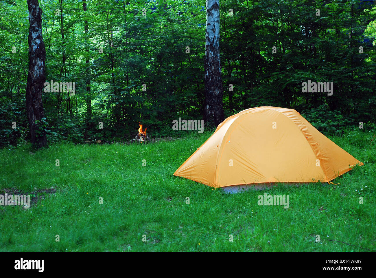 tent in the forest Stock Photo - Alamy