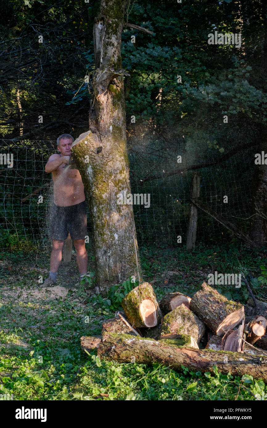 Man using a large chainsaw hi-res stock photography and images - Alamy