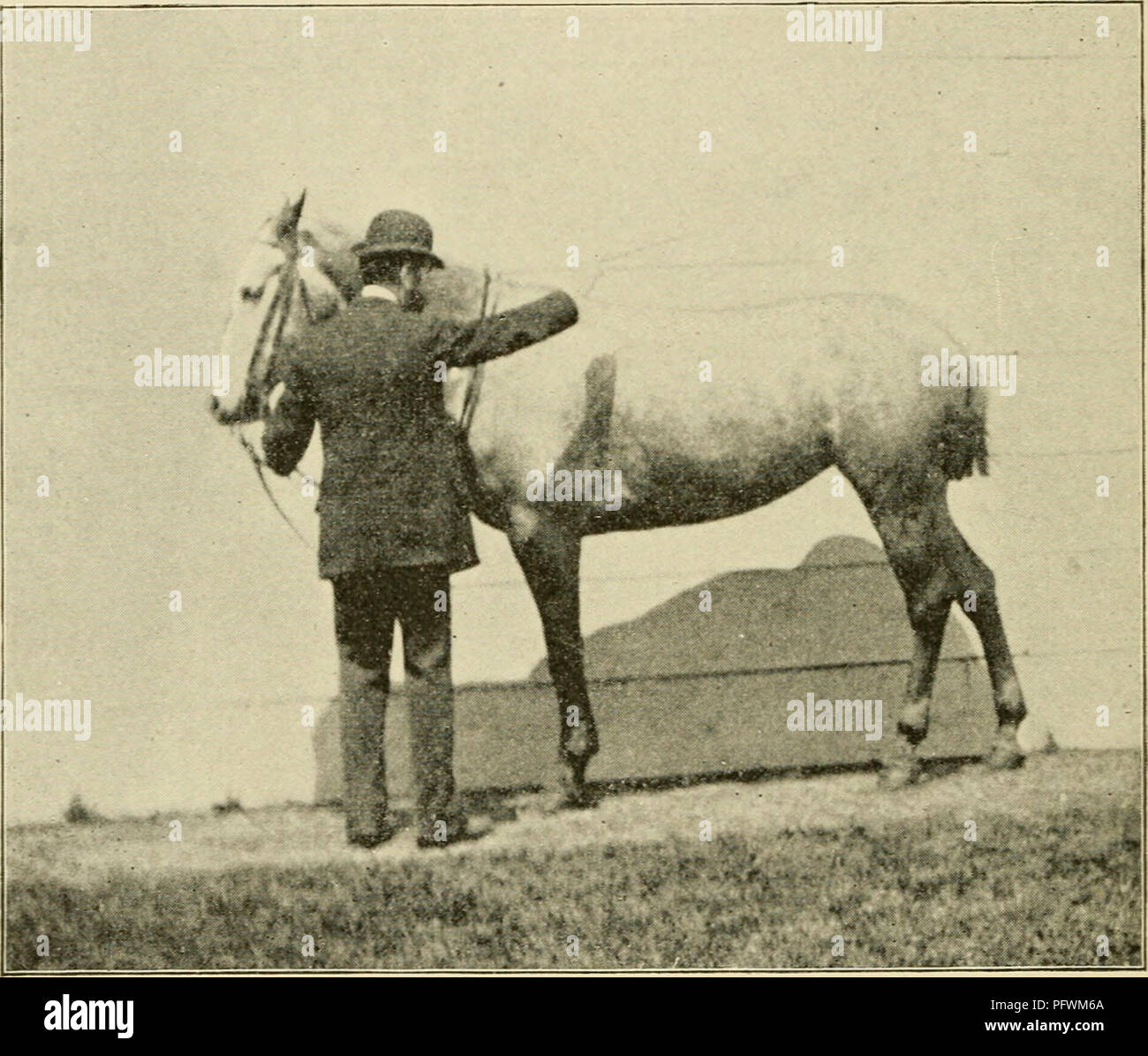 . Curb, snaffle, and spur a method of training young horses for the