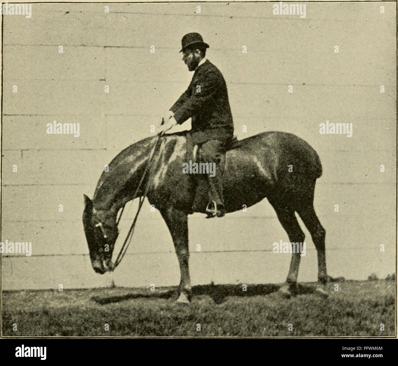 . Curb, snaffle, and spur a method of training young horses for the