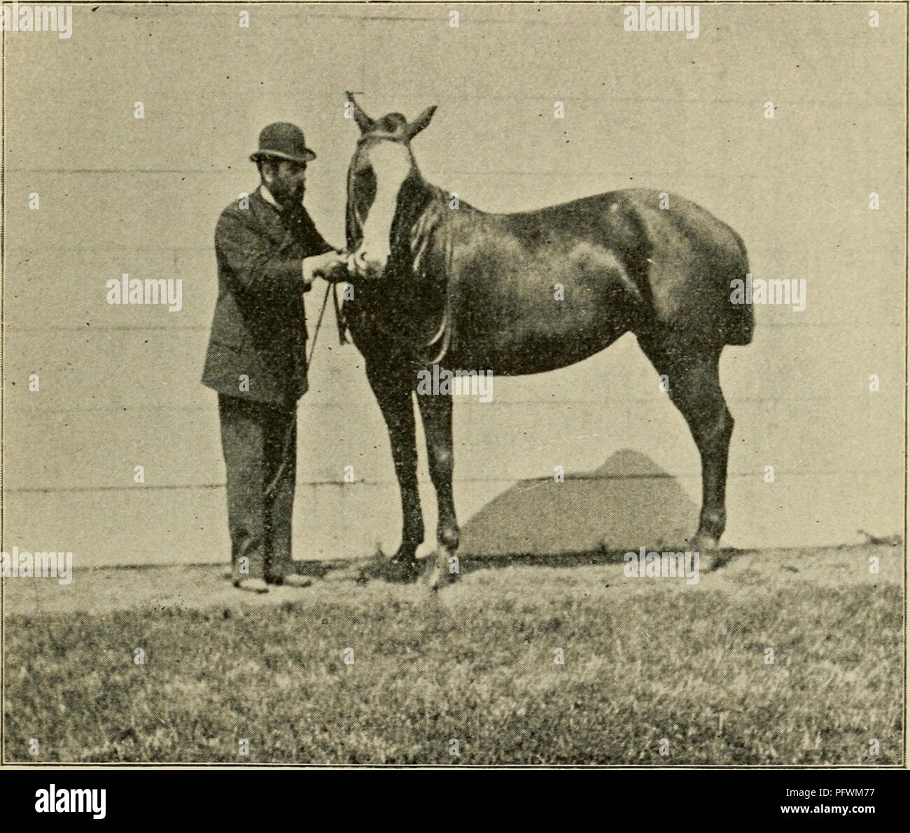 . Curb, snaffle, and spur a method of training young horses for the