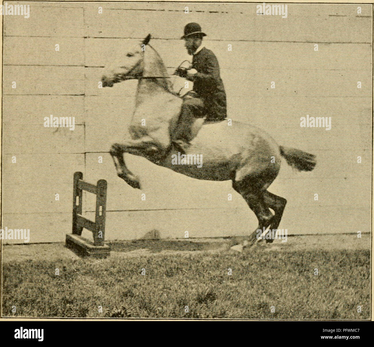 . Curb, snaffle, and spur a method of training young horses for the