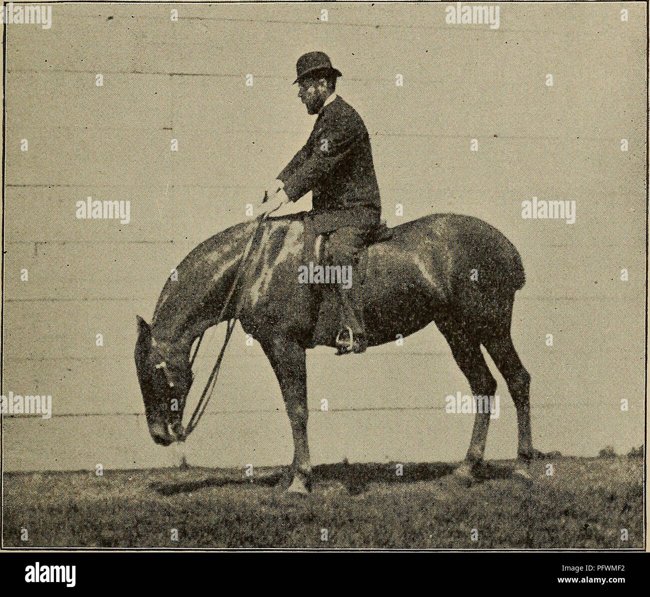 . Curb, snaffle, and spur. Horsemanship; Horses. Suppling and