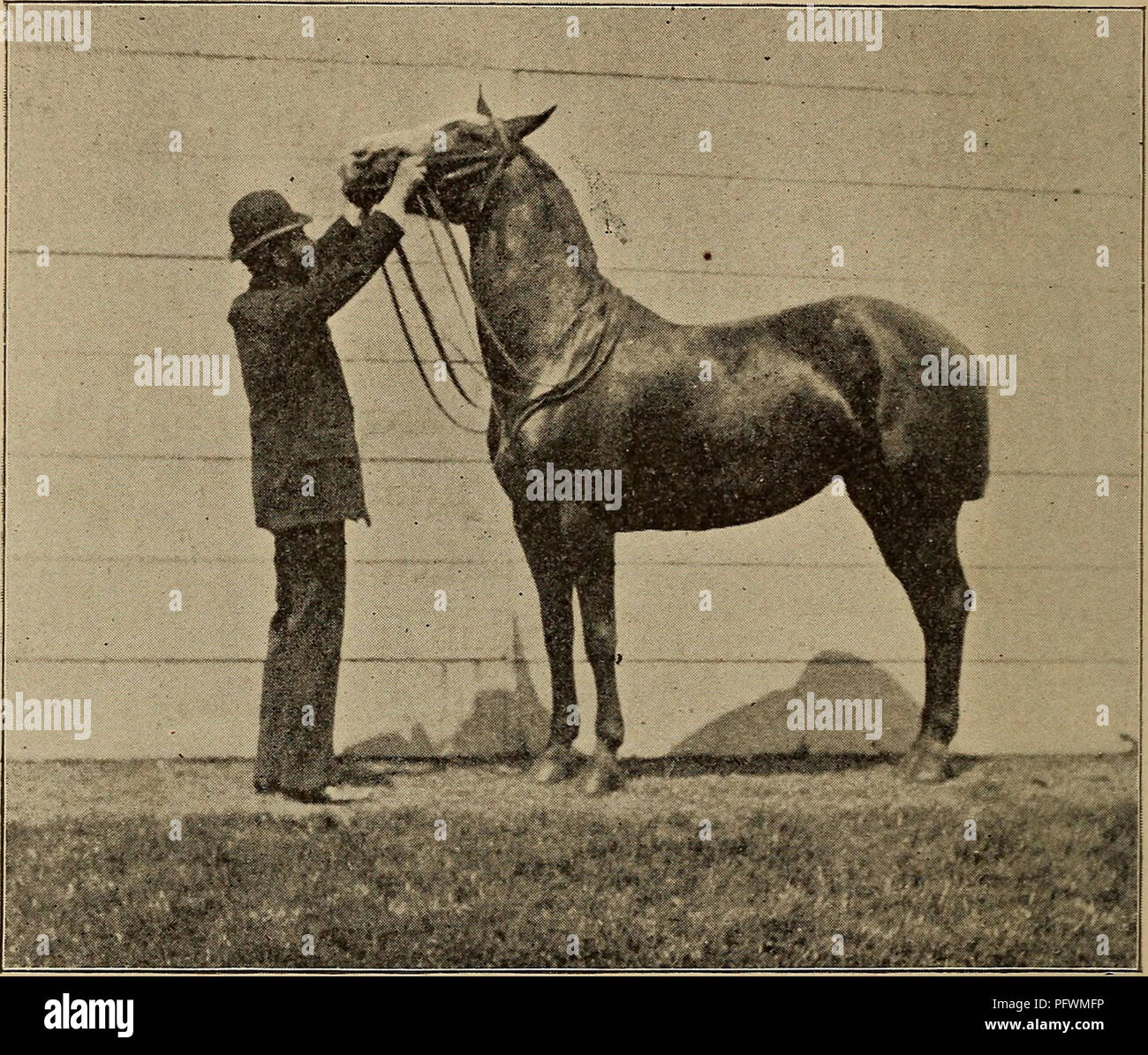 . Curb, snaffle, and spur. Horsemanship; Horses. 26 Curb, Snaffle, and