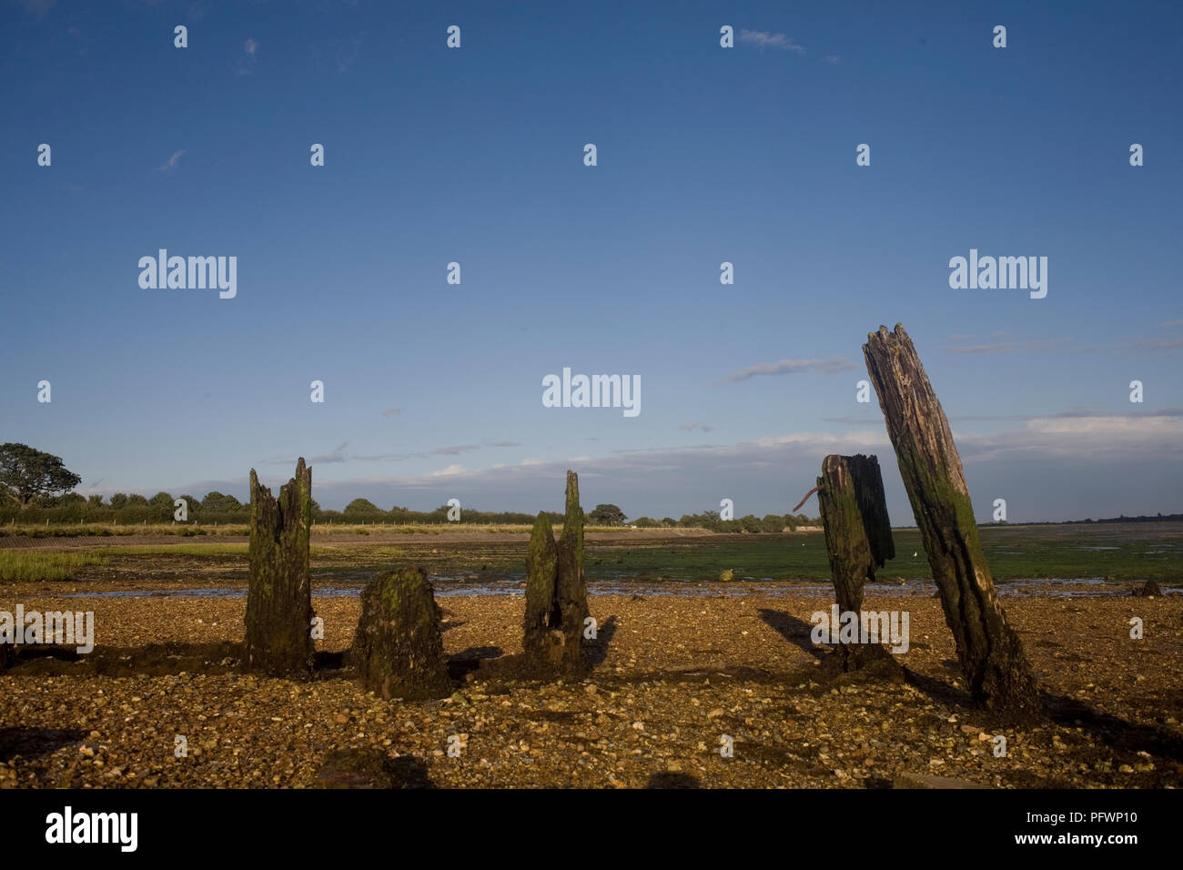 Wooden post by oyster beds at the end of Pook Lane on shore at Warblington on Langstone harbour Stock Photo