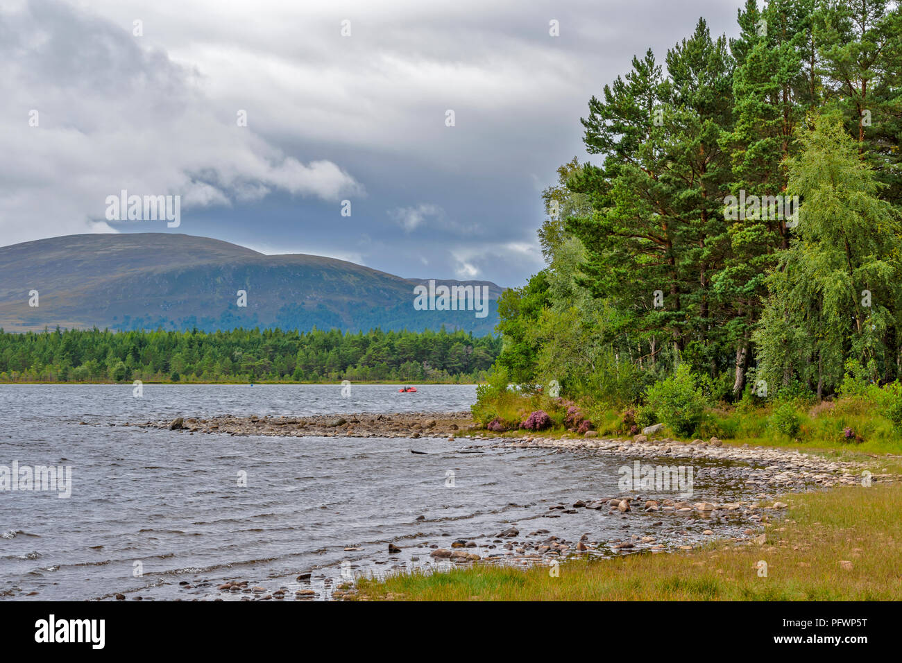 LOCH MORLICH NEAR AVIEMORE SCOTLAND THE SHORELINE WITH TREES AND REEDS AND RED BOAT ON THE WATER Stock Photo