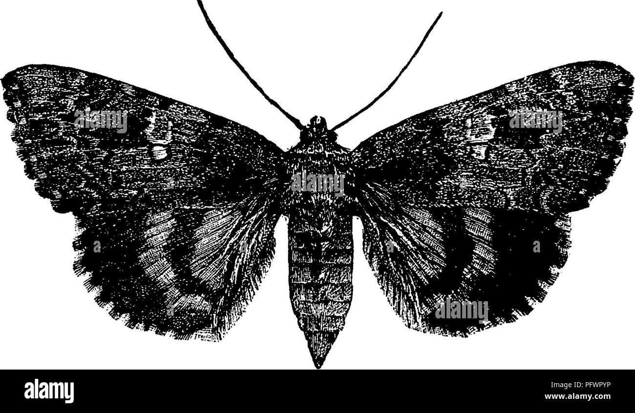 Example par hi-res stock photography and images - Alamy