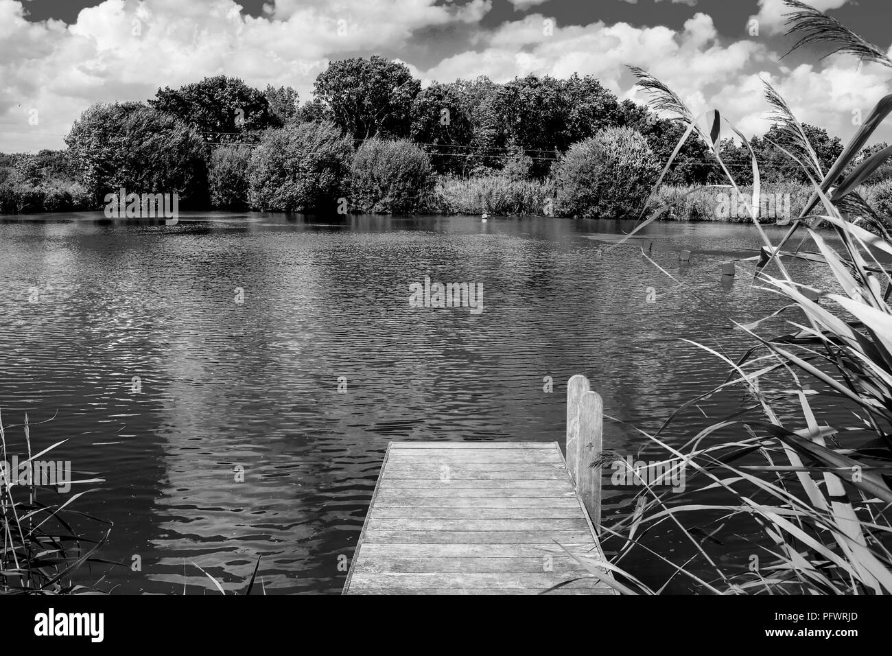 straight wooden foot jetty jutting out over a calm swimming lake, trees in the background, sunny day with clouds and grasses surrounding the lake, bla Stock Photo