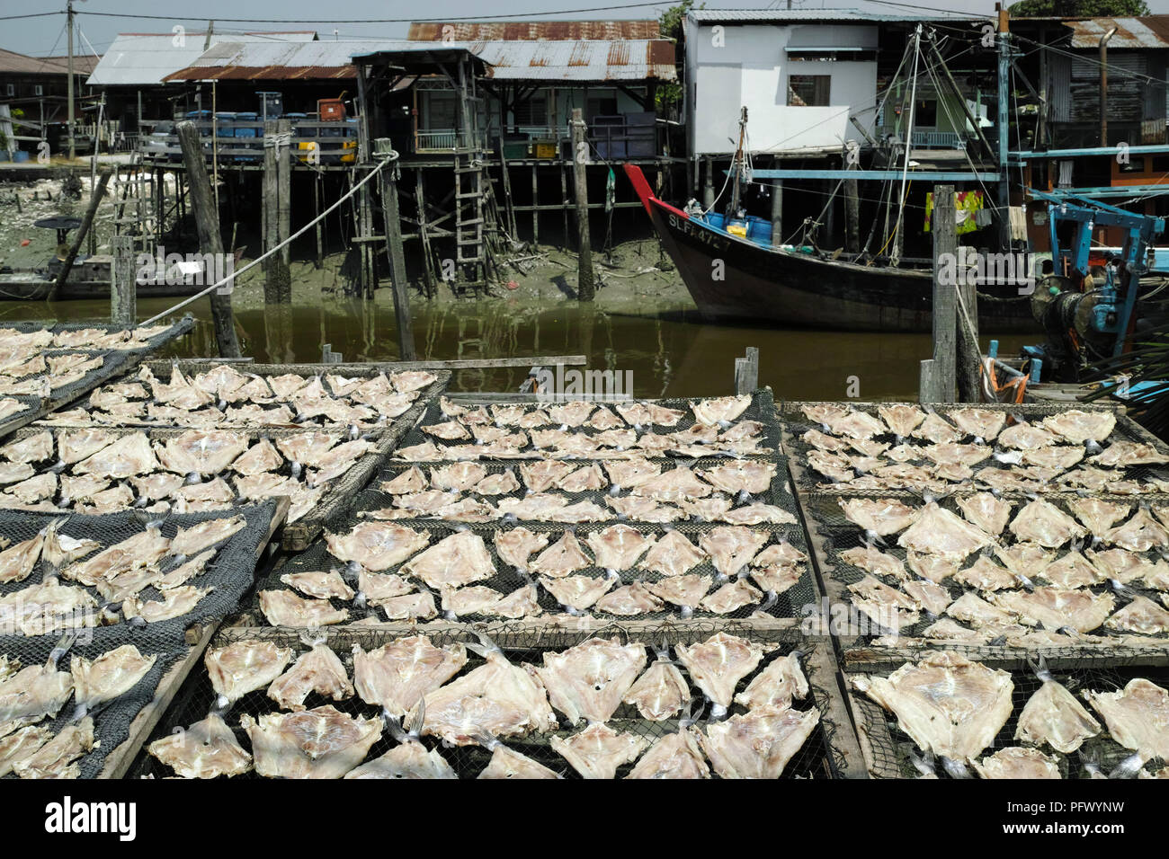 Fresh seafood and fish products. Sekinchan fishing village, peninsular Malaysia. Stock Photo