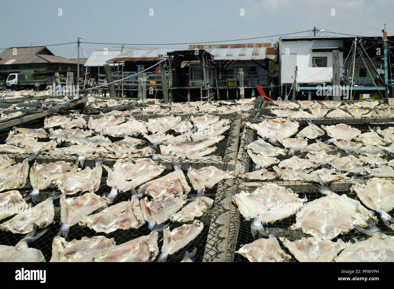 Fresh seafood and fish products. Sekinchan fishing village, peninsular Malaysia. Stock Photo