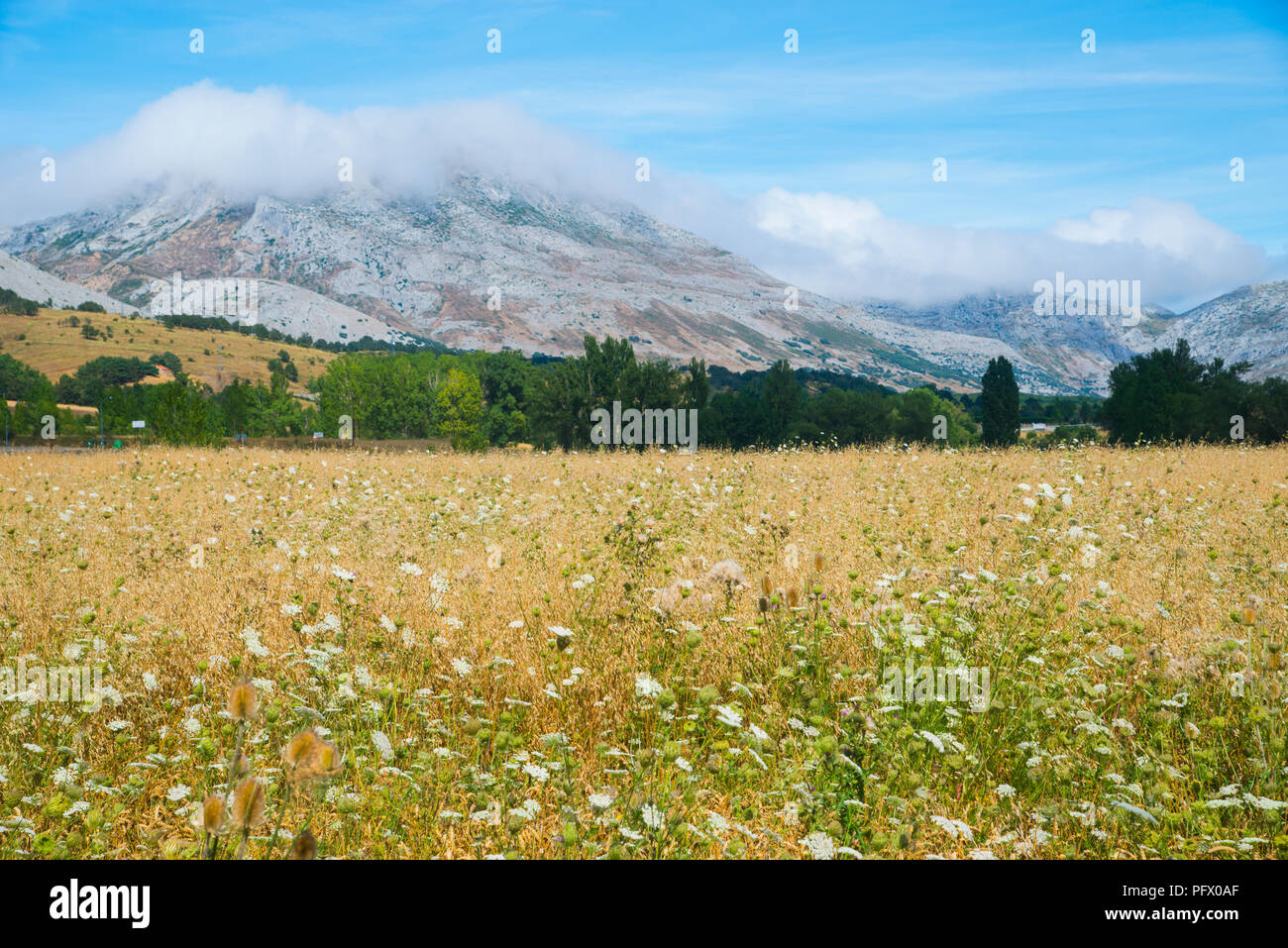 Campo de cultivo de cereales hi-res stock photography and images - Alamy
