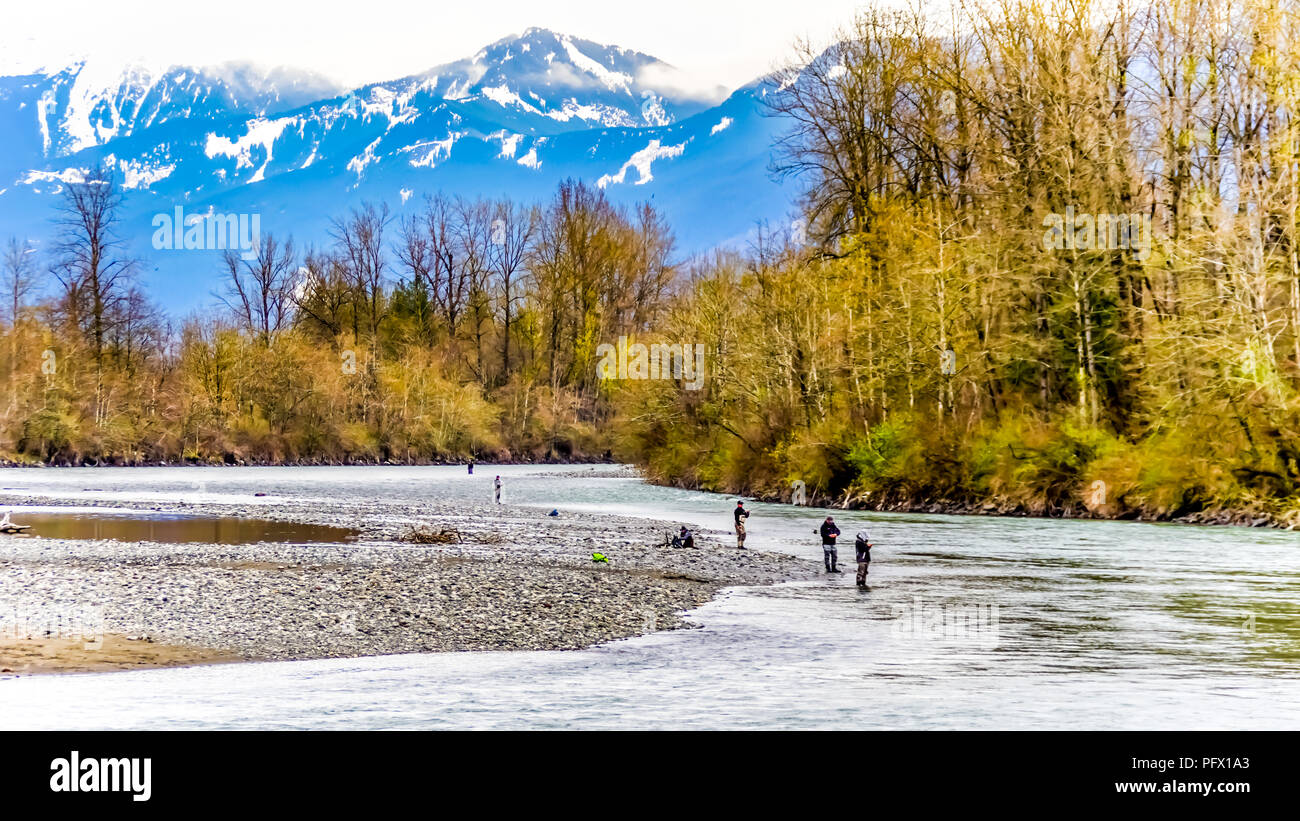 The lagoon at the Great Blue Heron Nature Reserve near Chilliwack, British  Columbia, Canada with the Coastal Mountains in the background Stock Photo -  Alamy