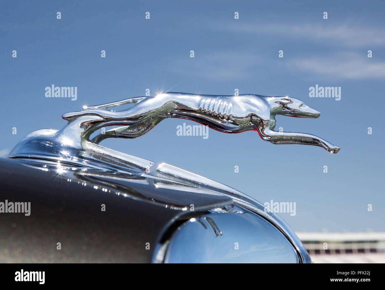 Hood ornament on classic car hi-res stock photography and images - Alamy