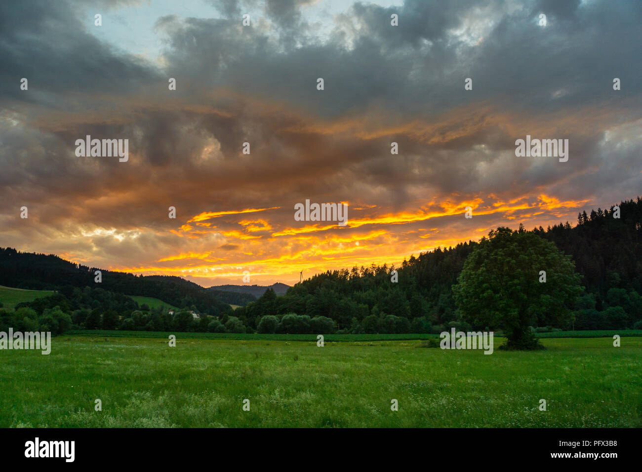 Fire red dawn sky forest hi-res stock photography and images - Alamy