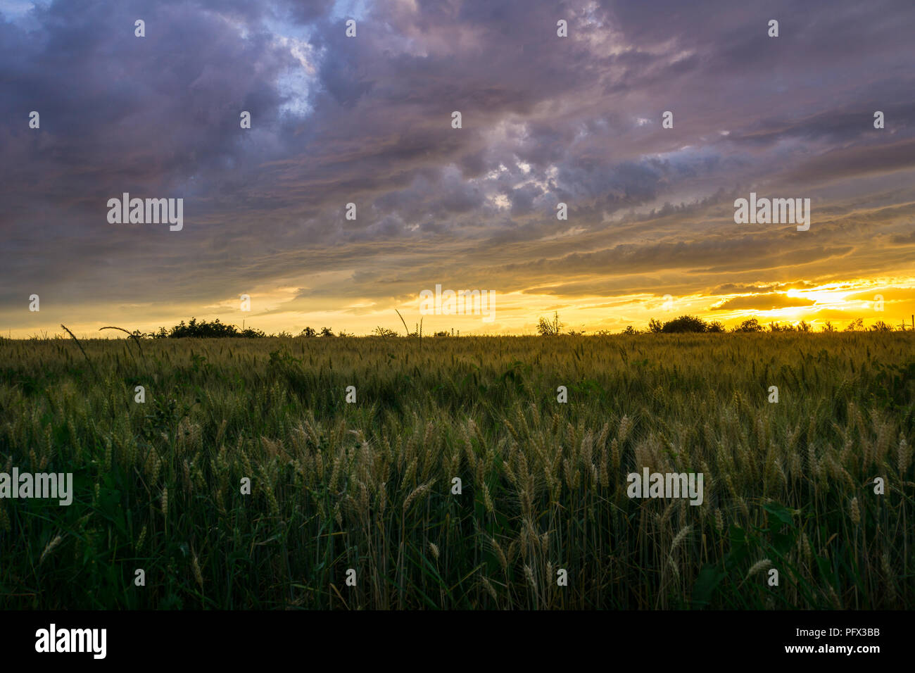 Germany, Rural spectacular sunset behind fields in german countryside