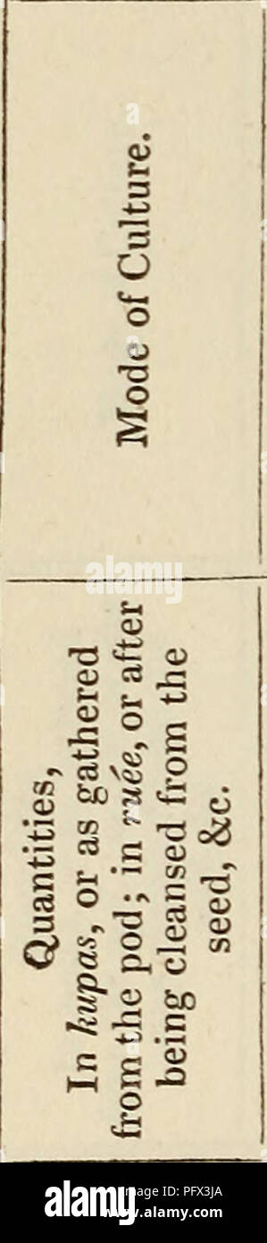 . Culture and manufacture of cotton wool ... 348 COTTON-WOOL. Appendix.. P .1 'o ^ o u O —. o riS o ^ t 11 .s *o be 3 as CO Km 8 ^ .2 1 s r5 2 C tc bo o ? a S o O O OS o O. Please note that these images are extracted from scanned page images that may have been digitally enhanced for readability - coloration and appearance of these illustrations may not perfectly resemble the original work.. East India Company. [n. p. ] Stock Photo