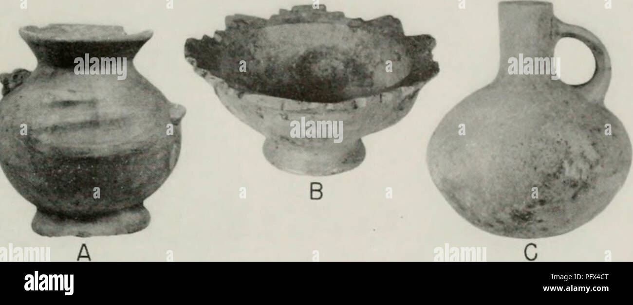 . Cultural chronology and change as reflected in the ceramics of the Virú Valley, Peru. Pottery -- Viru Valley, Peru; Mounds -- Peru Viru Valley; Viru Valley, Peru -- Antiquities. Fig. 30. Cjallinazo pottery from '-303, Burial 1.. Please note that these images are extracted from scanned page images that may have been digitally enhanced for readability - coloration and appearance of these illustrations may not perfectly resemble the original work.. Collier, Donald, 1911-; Martin, Paul S. (Paul Sidney), 1899-1974. editor Chief Curator, Department of Anthropology; Ross, Lillian A. editor Associa Stock Photo