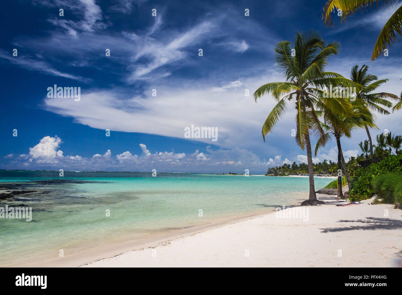 Palms on tropical beach in Mauritius Island, Indian Ocean Stock Photo ...
