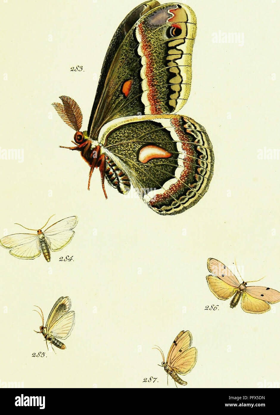 Huibner S Papilio Electronic Resource Lepidoptera A C7 Zx T Gt Z Gt Zriz Jzl Om Fced J C Gt J Unvoted H Amp C Zs5 Ge Ro 2sj 2s5 E Sw A 2ss 2s7 Amp Amp X A P A Z I T A Please Huibner S Papilio Electronic Resource Lepidoptera A C7 Zx T Gt Z Gt Zriz Jzl Om Fced J C Gt J Unvoted H Amp C Zs5 Ge Ro 2sj 2s5 E Sw A 2ss 2s7 Amp Amp X A P A Z I T A Please