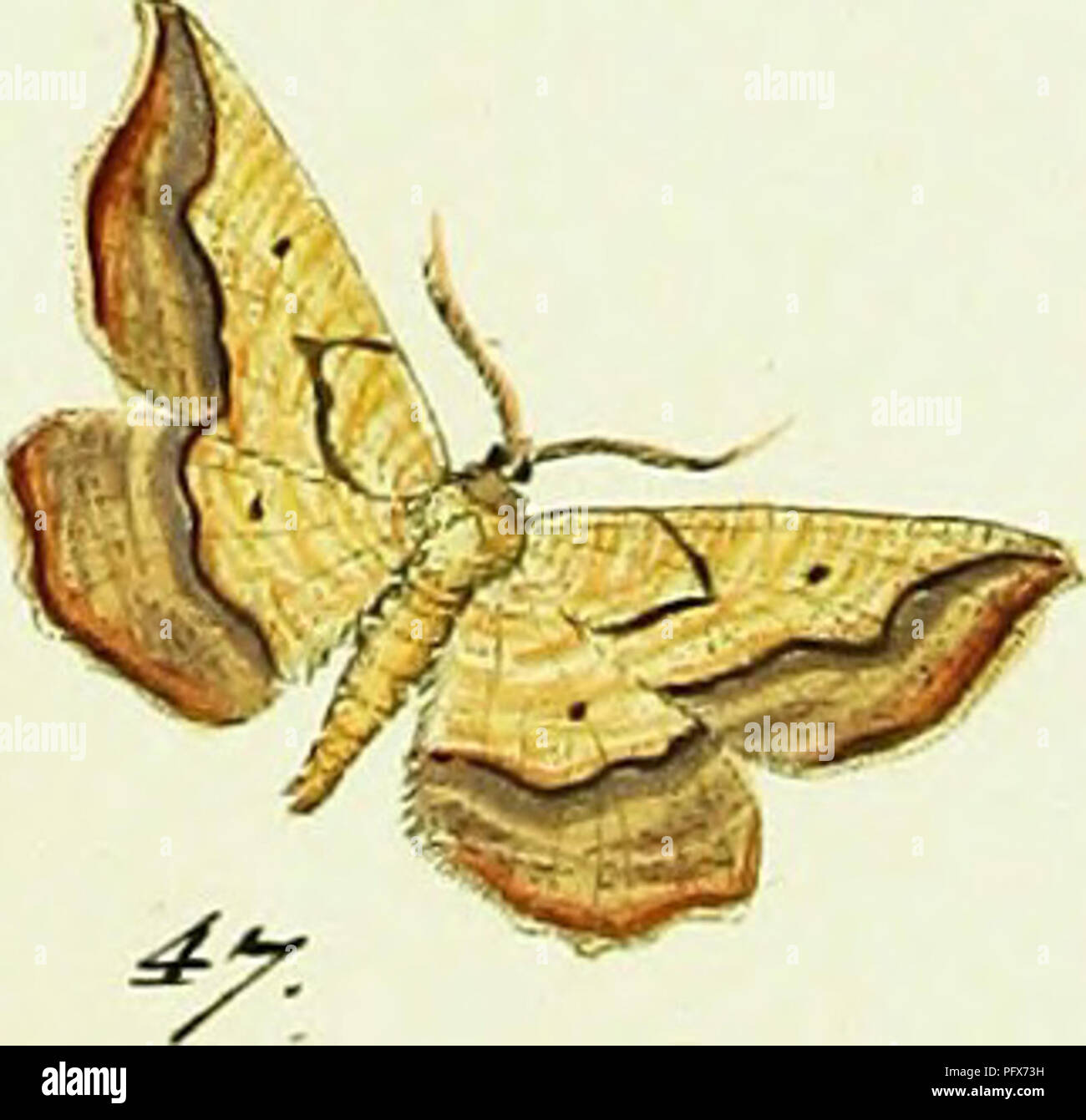 Page 3 Df S High Resolution Stock Photography And Images Alamy