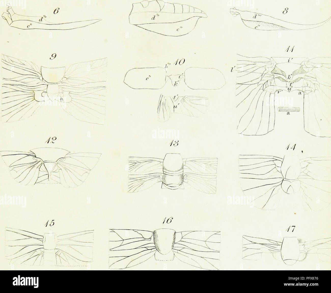 An early work on entomology by William Kirby and William Spence ...