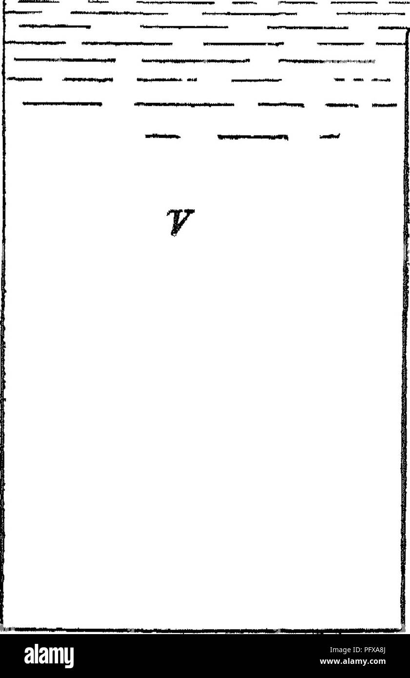 . Report upon the forestry investigations of the U. S. Department of agriculture. 1877-1898. Forests and forestry. B !, S s ^cSl ) i — -*v. Fig 104 —Apparatus ioi cleteimmmg specific giaAitj above its top; B is a metal bar fastened to the cup A1 which serves as guard to the cup and pre- vents it going down farther at one time than another by coming to rest on the standards 8, The cup A dips down one-sixteenth to one-eighth of an inch below the edge of the knee-like spout. In working, the cup is lifted out by the handle which the bar B forms, water is pouied into the vessel until it overflows t Stock Photo