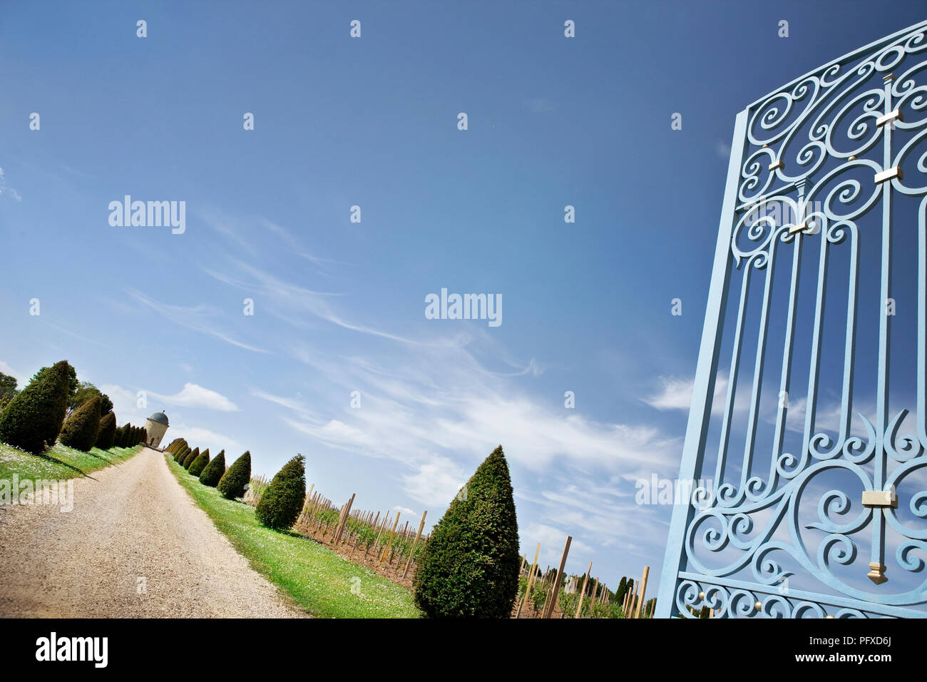 Open wrougt iron gate of a Bordeaux winery Stock Photo Alamy