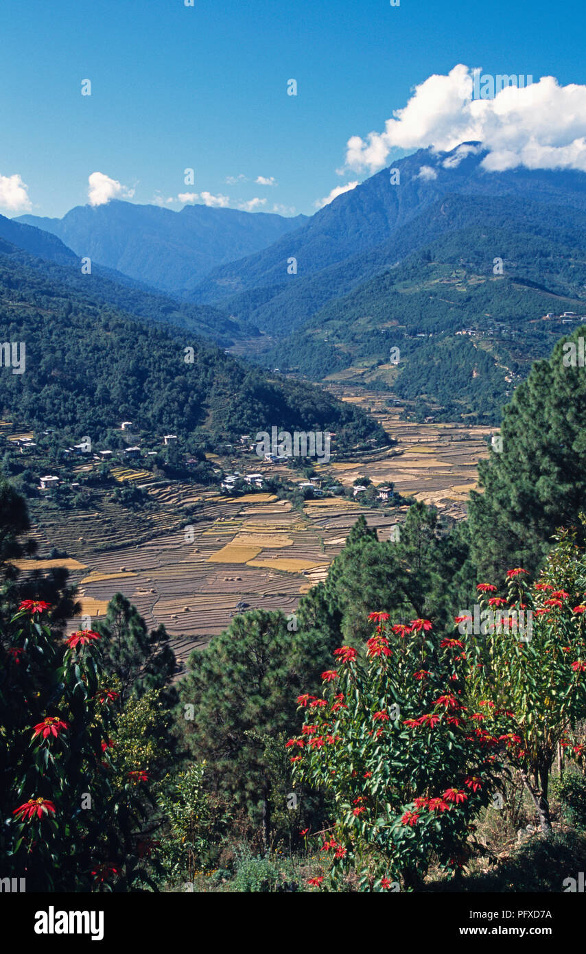 Mo Chhu Valley in upper Punakha valley, Bhutan Stock Photo