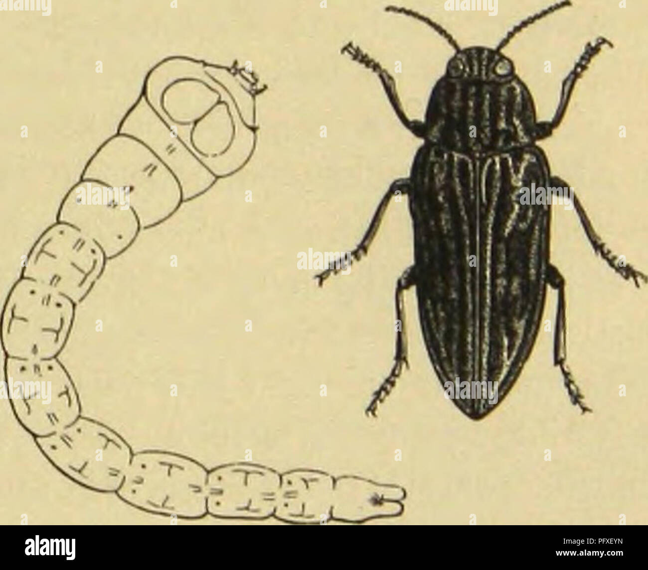 Citen High Resolution Stock Photography and Images - Alamy