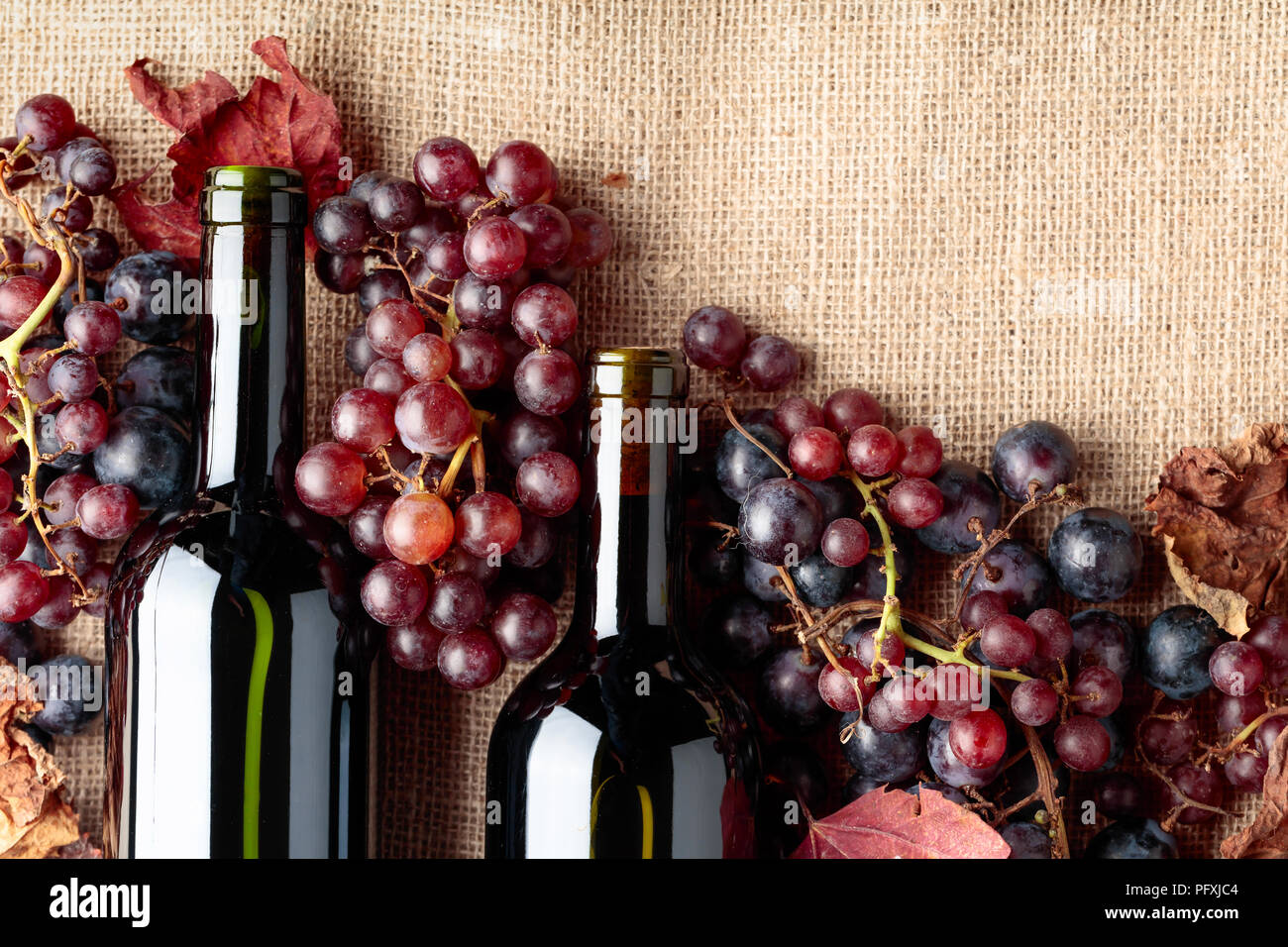 Red wine bottles and fresh grapes with dried up vine leaves on burlap ...