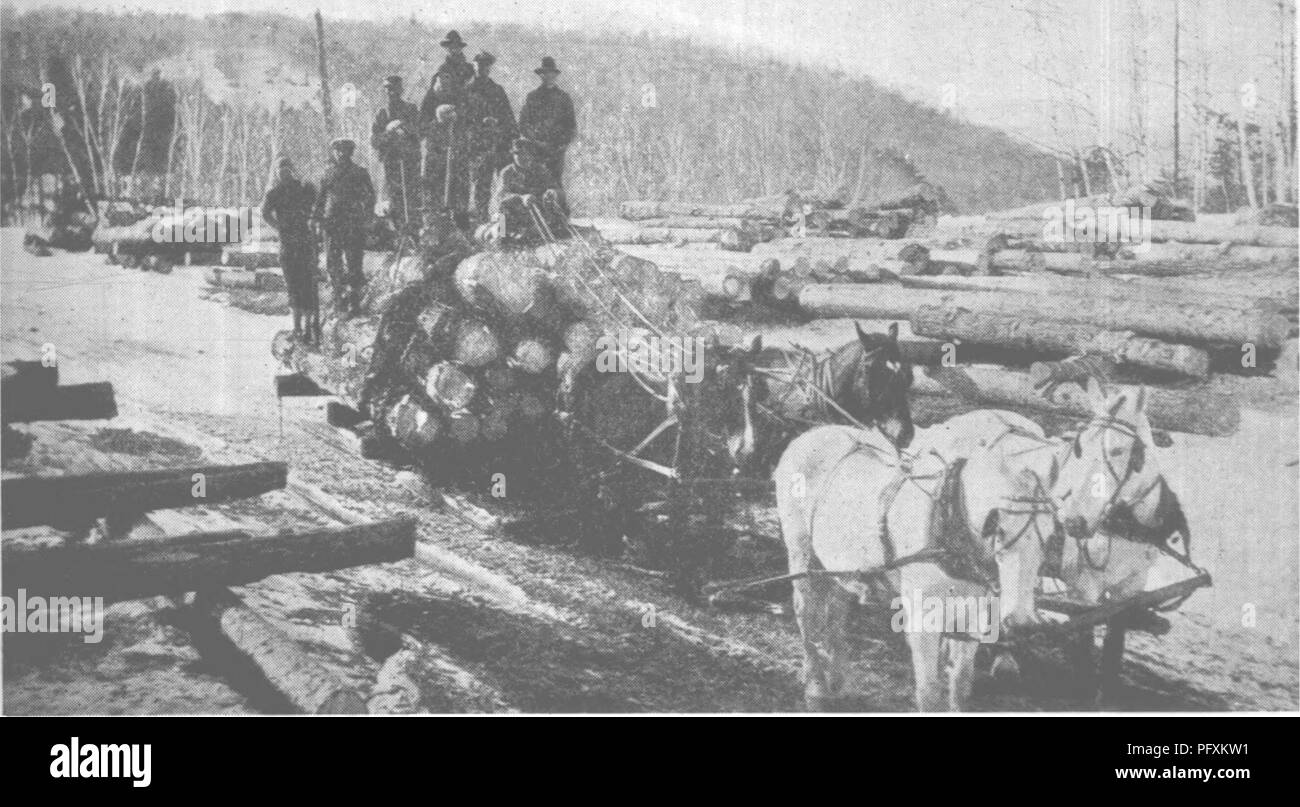 . Forest protection and conservation in Maine, 1919. Forests and forestry. HARDWOOD OPERATION. A four-horse load of hardwood logs en route to the landing. There is increasing demand for the hardwoods and in some sections within easy hauling distance of the railroads, or of waters where rafting operations can be safely carried on, consid- erable amounts of hardwood logs are being cut. .,.. &lt; Photo by Maine Forestry Dept.. Please note that these images are extracted from scanned page images that may have been digitally enhanced for readability - coloration and appearance of these illustration Stock Photo