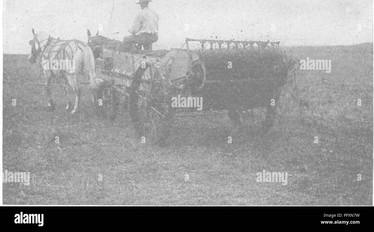 . Productive soils; the fundamentals of successful soil management and profitable crop production. Soils. WHEN MANURE HAS TO BE STORED 217 allow it to become exposed to the weather and the water from the stable roof. Hauling it directly to the field or storing it properly is universally recognized as the only way to get full value from the manure produced. When Manure Has to Be Stored.—It is not always convenient to haul it directly to the fields (Fig. 145). It then becomes neces- sary to store and conserve it for future use. Three points should be kept in mind in storing manure, viz.: (a) It  Stock Photo