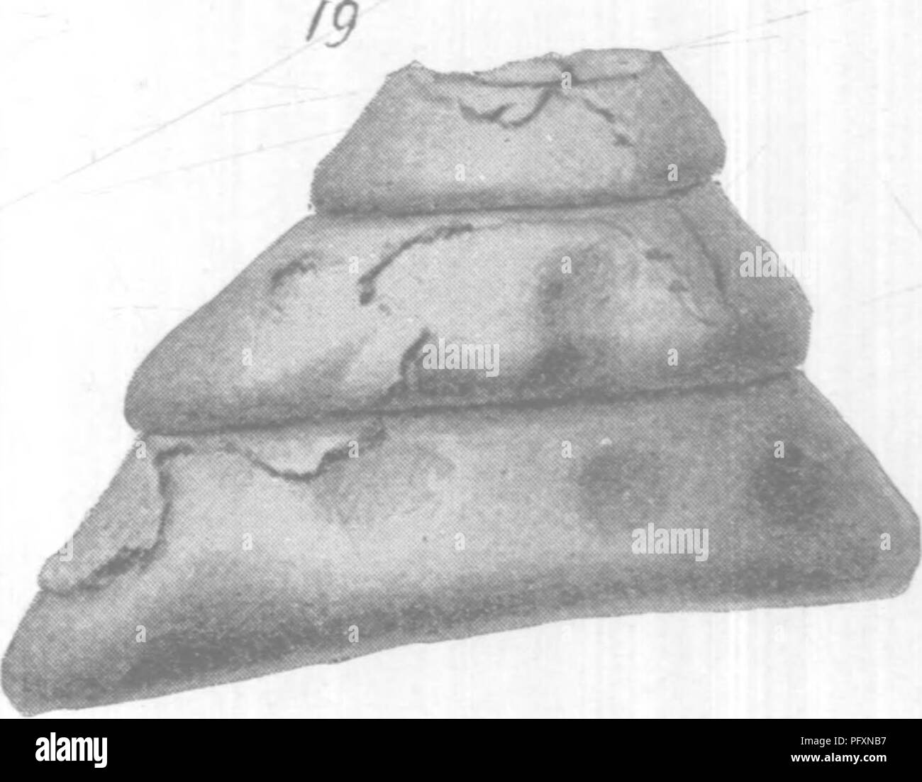 Lower greensand hires stock photography and images Alamy