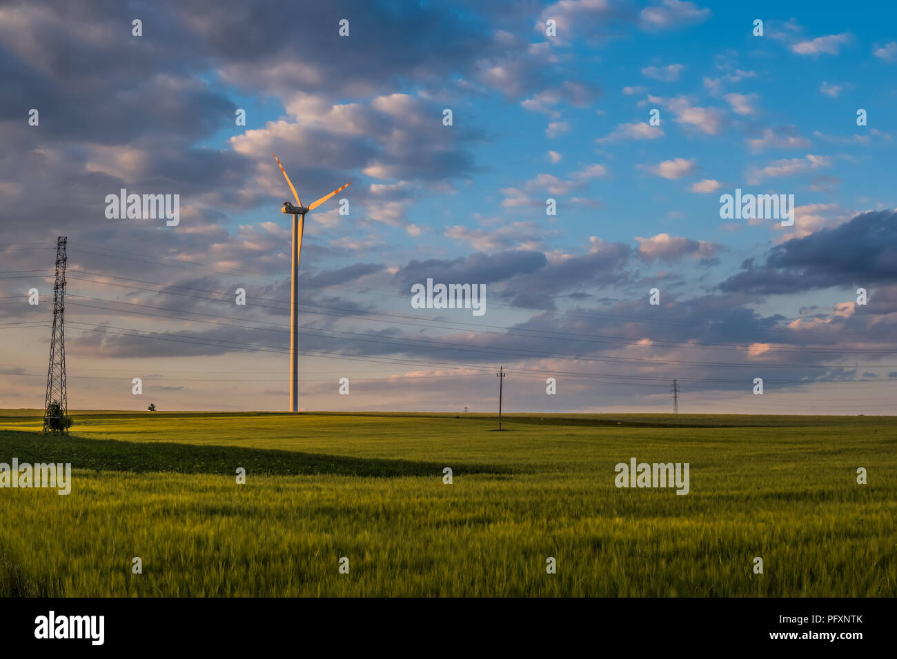 blue sky with cirro cumulus clouds over rural landscape with fields and ...
