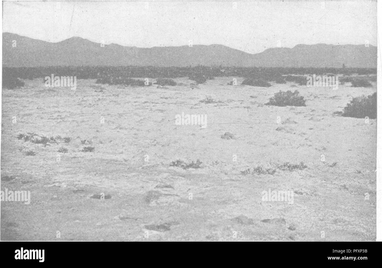 White alkali soil hires stock photography and images Alamy