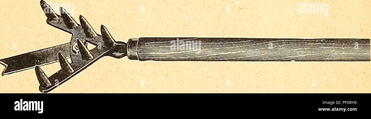 . Currie's farm and garden annual : spring 1927 52nd year. Flowers Seeds Catalogs; Bulbs (Plants) Seeds Catalogs; Vegetables Seeds Catalogs; Nurseries (Horticulture) Catalogs; Plants, Ornamental Catalogs; Gardening Equipment and supplies Catalogs. Forks—Hand weeding, 4 tine $0.30 Imported steel, 3 tine BO Solid steel, 4 tine 75 Five-Point Scratch Weeder, with 6-lnch Handle. Price. .20. Seven-Point Scratch W^eeder, with 14-lnch Handle. Price. .36 With extra spud, easily attached, 50c. Seven-Point Heavy Scratch W^eedcr—For larger garden pur- poses. Price with handle 70c. With the extra spud as s Stock Photo