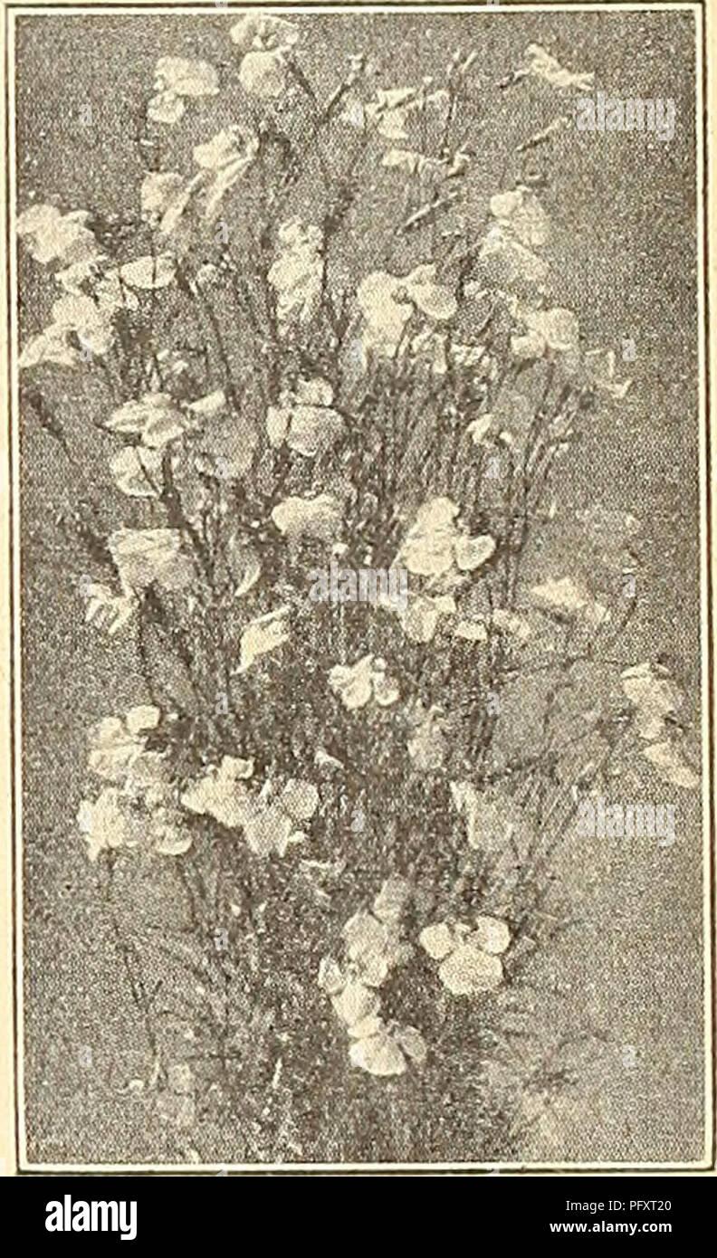 This catalog features various plants and gardening equipment for the ...